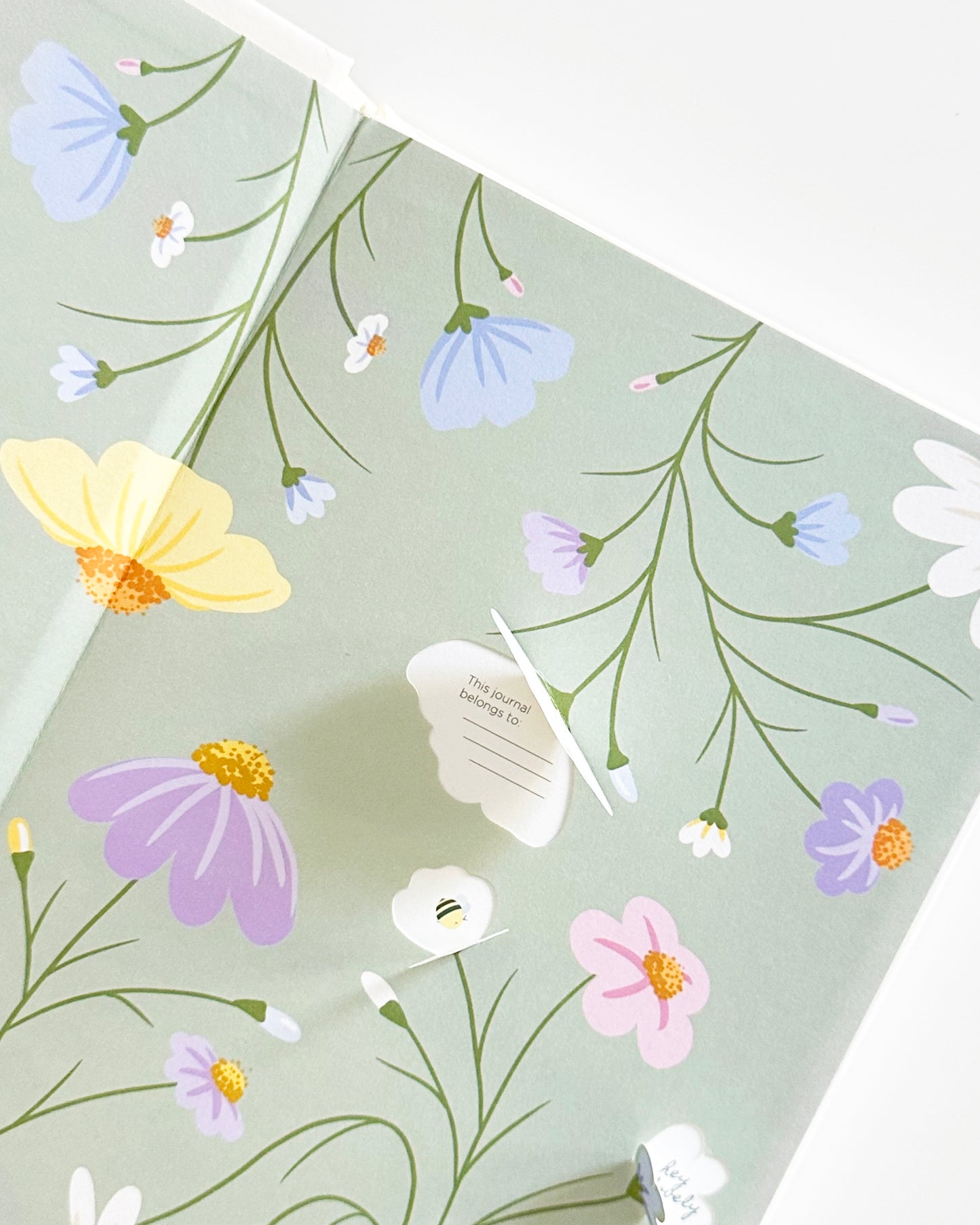 Calm & Collected - Bundle