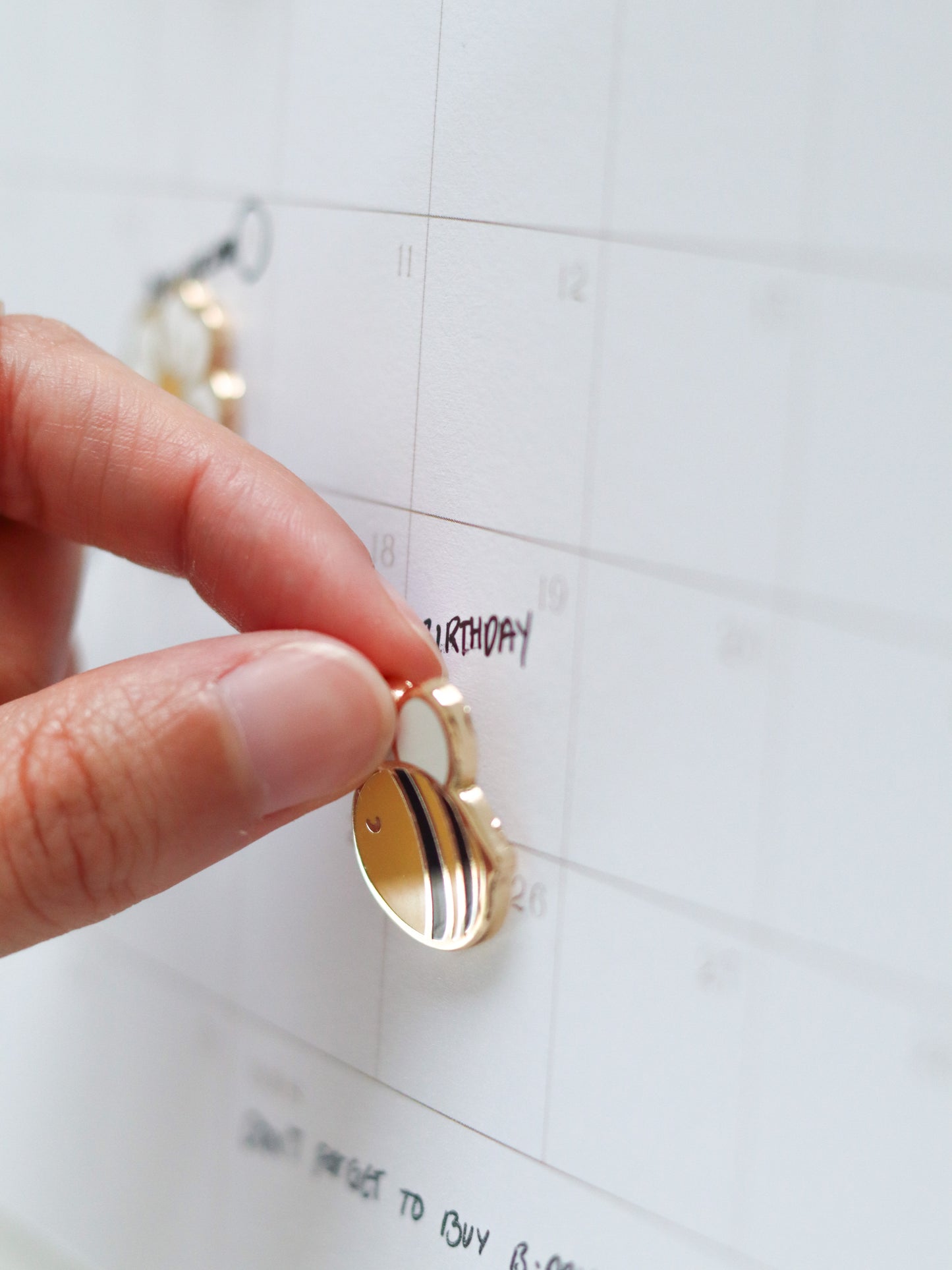 Summer Fridge Magnet Set