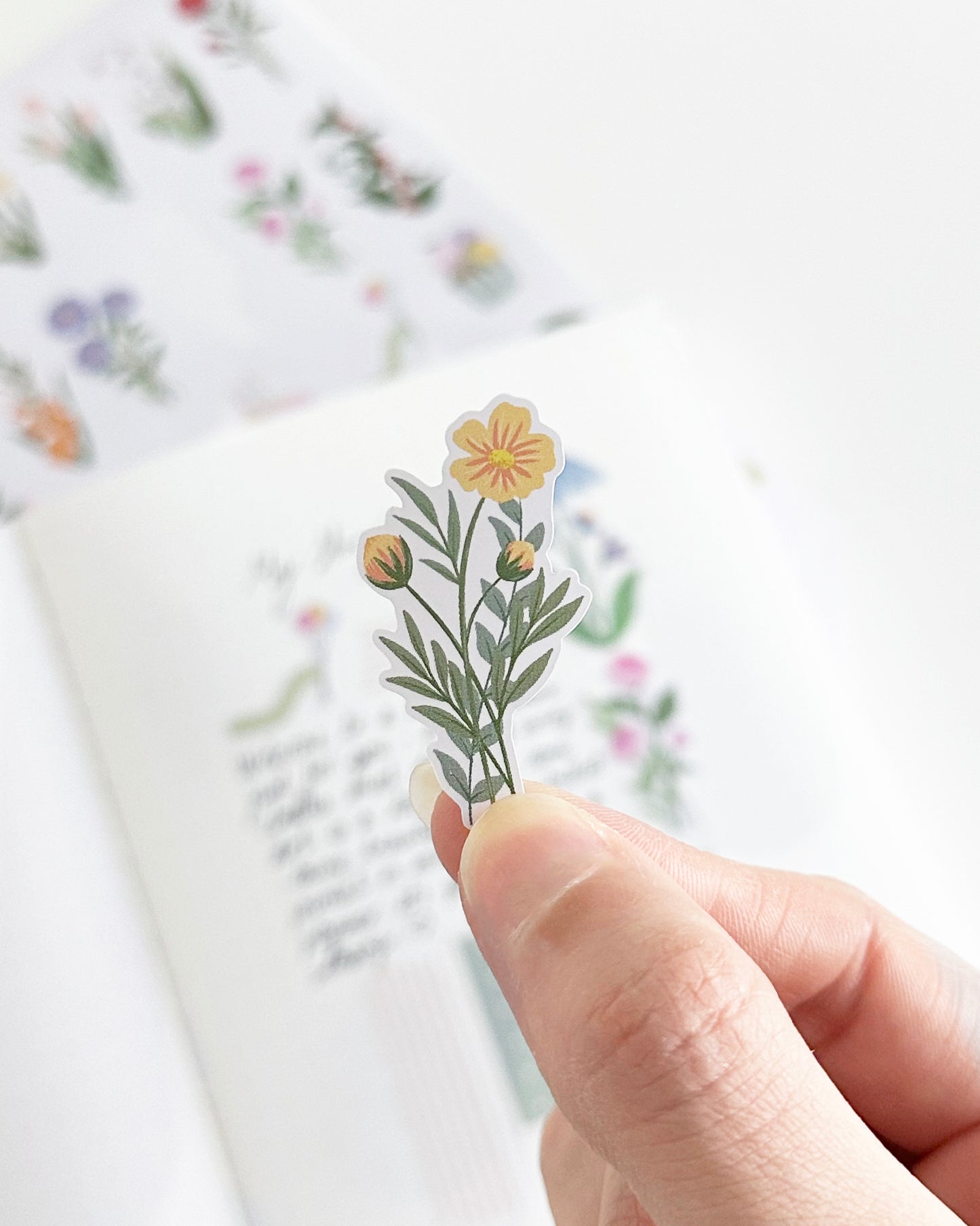 Birth Flower Stickers