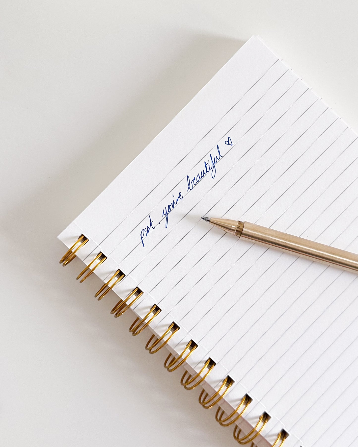 Ballpoint Pen - Blue Ink