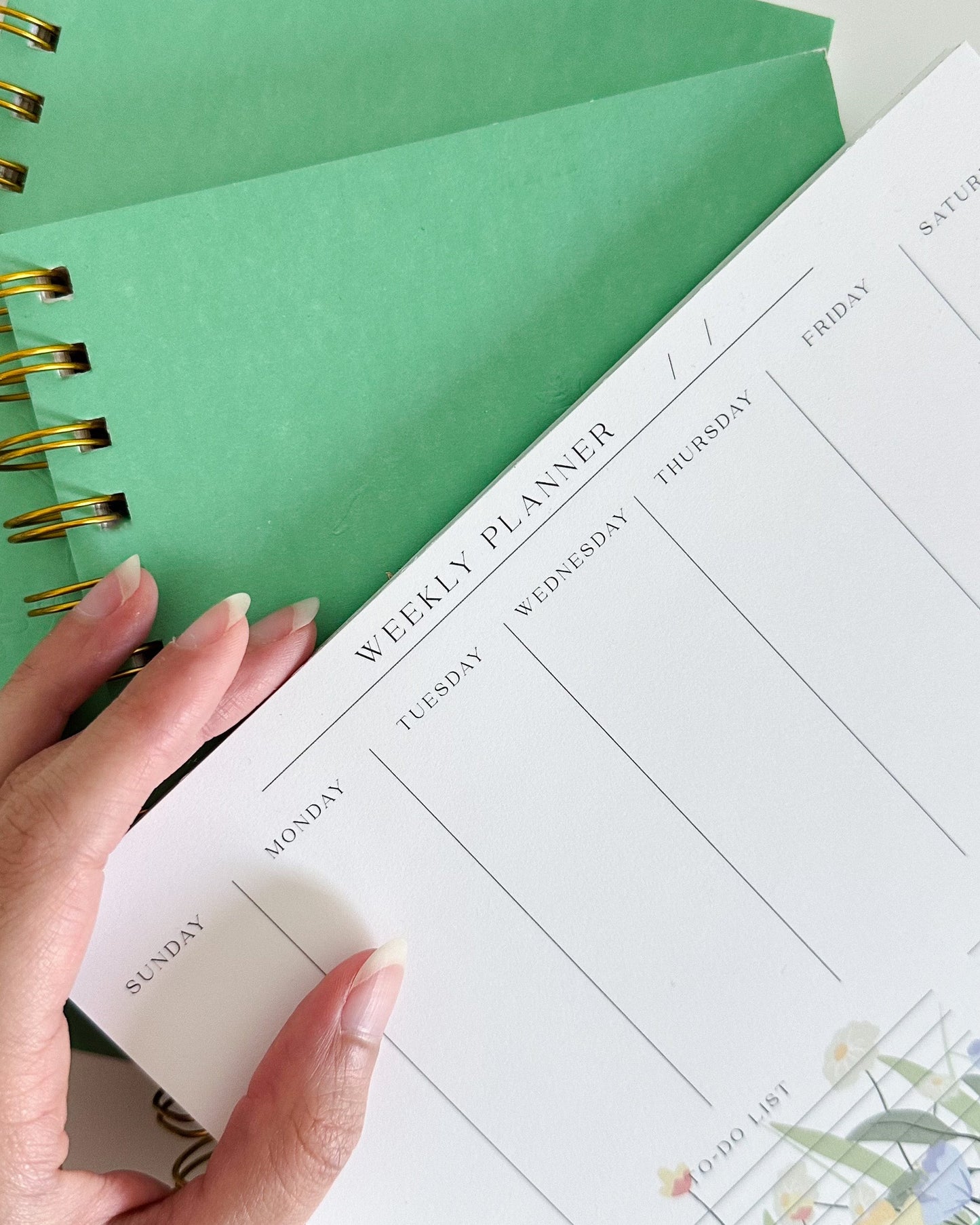 Plant Your Plans - Bundle