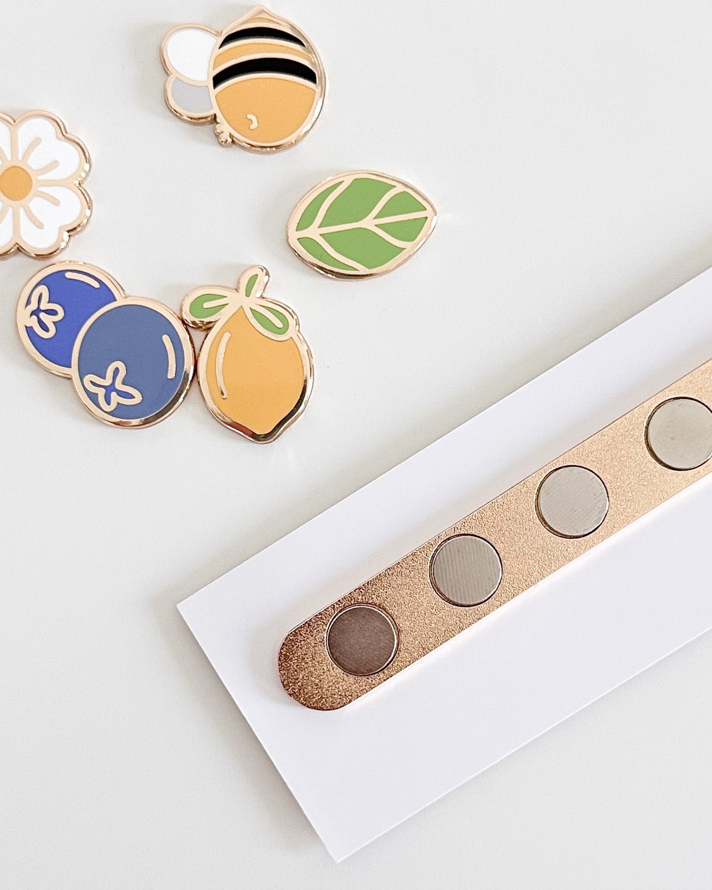 Summer Fridge Magnet Set