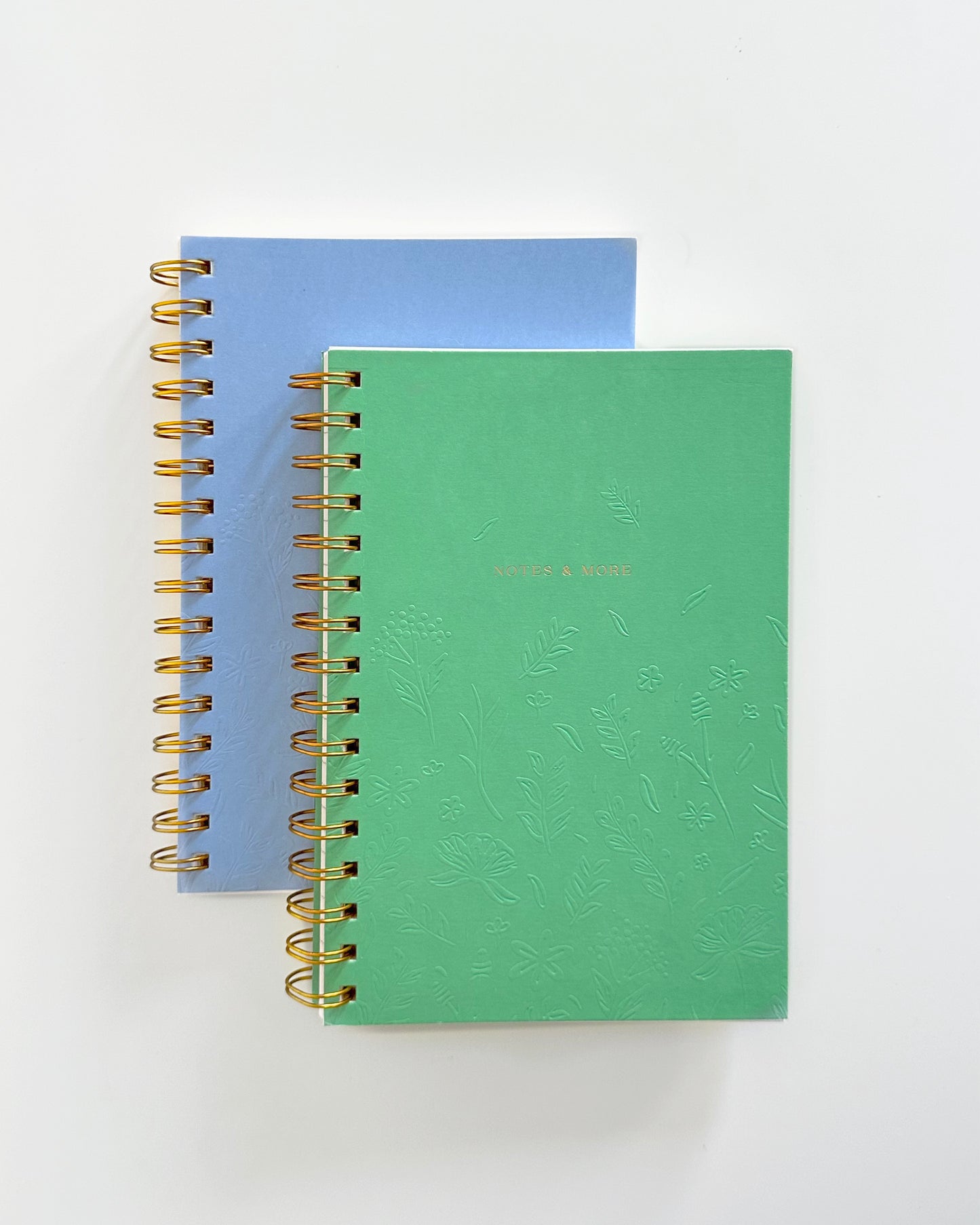 Bundle - Blue & Green Lined Notebook